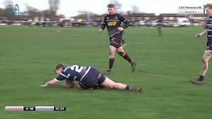 Image result for the fierce EASTMOOR DRAGONS