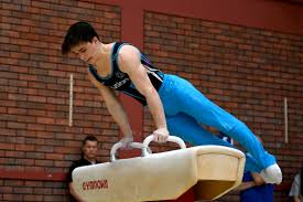 Image result for Appley Bridge Gymnastics Club