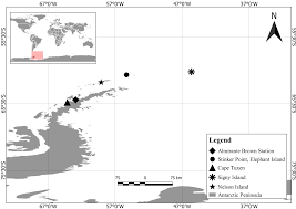 Attēlu rezultāti vaicājumam “Dianema nivale”