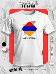 Image result for Футболка с флагом армении