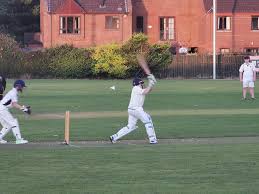 Image result for North Down Cricket Club