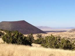 Attēlu rezultāti vaicājumam “Craterium sp.”