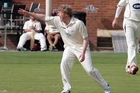 Image result for Austerlands Cc