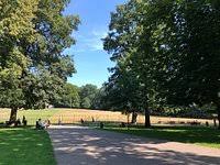 Image result for sonsbeek park