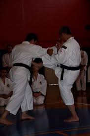 Image result for Durham University Shorinji Kempo Society Club