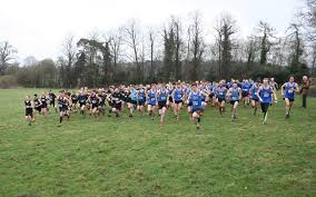 Image result for Orion Harriers Athletics Club