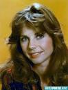 Jan Smithers Gallery Colection