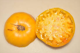 Afbeeldingsresultaat voor mortgage lifter bicolor strain tomato