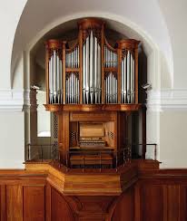 Image result for Chelmsford Octopush Club