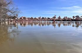 Image result for parque natural de camargue