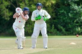Image result for Steyning Cricket Club
