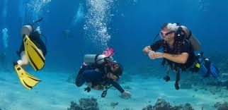 Image result for Divemaster Scuba