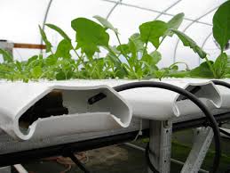  Hydroponic Grow Boxes