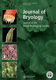 Attēlu rezultāti vaicājumam “Pseudobryum cinclidioides cells”