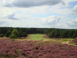 Image result for Hankley Common Golf Club
