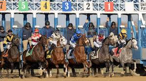Image result for The Horse Racing Club