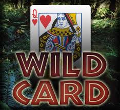 Image result for Wild Cards