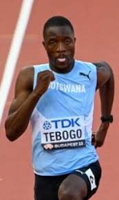 Image result for Tobogo