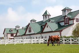 Image result for Carman Stables