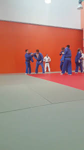 Image result for Felixstowe Judo club