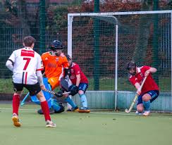 Image result for Annadale Hockey Club