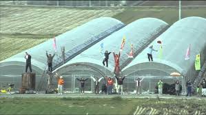 Image result for 九州新幹線 ウェーブ