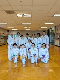 Image result for Northern Freestyle Karate Association