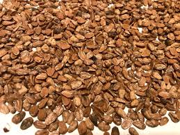 Attēlu rezultāti vaicājumam “Cotoneaster divaricatus fruit”