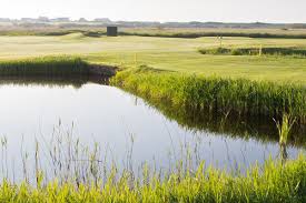 Image result for Cooden Beach Sports & Social Club