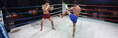 Image result for St Neots Muay Thai
