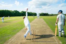 Image result for Thriplow Cricket Club