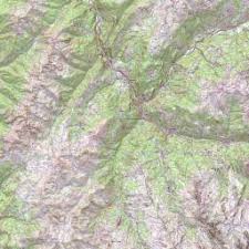 Image result for Squalius cephalus cavedanus