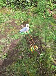 Image result for Whitby Company Of Archers