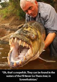 Image result for Goliath Tigerfish