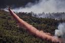 Uprooted Palestinians: The Carmel wildfire is burning all ... 