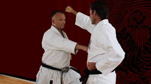 Image result for Jodan Karate