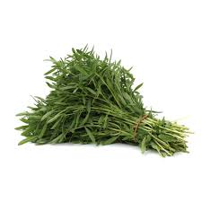 Image result for Bohnenkraut