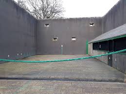 Image result for The Royal Tennis Court