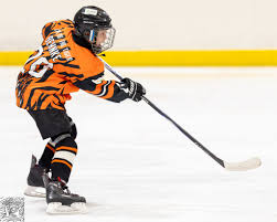 Image result for Telford Junior Ice Hockey Club