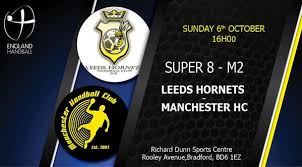 Image result for Deva Handball Club