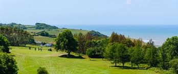 Image result for Cardigan Golf Club