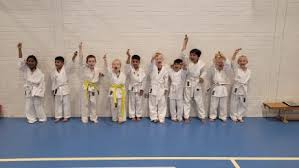 Image result for Windsor Higashi Karate Club