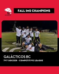 Image result for York University Dodgeball Club