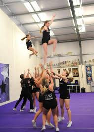 Image result for Phoenix Stars Cheerleaders