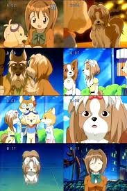 「リニア ワンワンセレプー それゆけ!徹之進」の画像検索結果