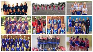 Image result for Hull Chevrons Netball Club