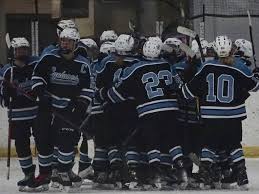 Image result for West Coast Wasps Skater Hockey Club