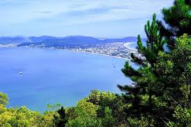 Image result for bombinhas