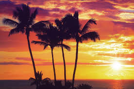 Image result for sunset