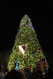 Image result for L&G Acrobatics